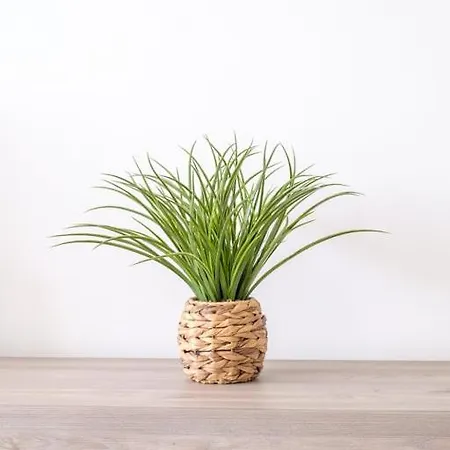 Apartamento Guestready - Charming With Beautiful Views *