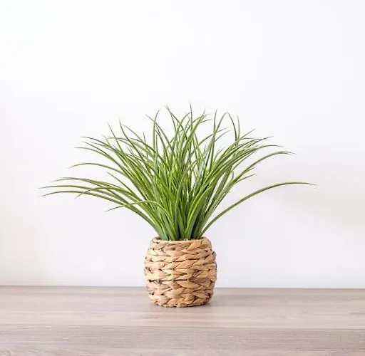 Appartement Guestready - Charming With Beautiful Views *